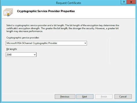 Windows cryptographic service provider 